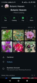 IMG_4576.jpeg