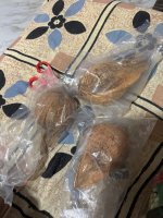 IMG_0817.jpeg