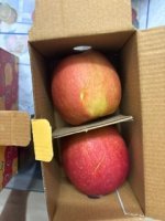 image2.jpeg