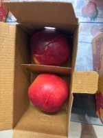 image1.jpeg