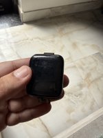 IMG_4313.jpeg