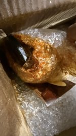 IMG_3223-min.jpeg