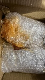 IMG_3222-min.jpeg