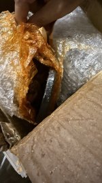 IMG_3224-min.jpeg