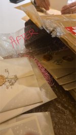 IMG_1980.jpeg
