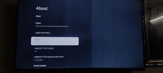 TV modal In settings.jpg
