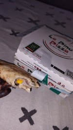 IMG20251014130225.jpg