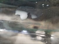 IMG_20251118_234456.jpg IMG_20251118_234456.jpg