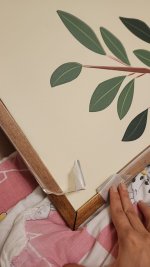 WhatsApp Image 2025-12-04 at 17.24.36.jpeg