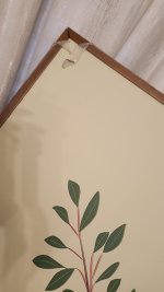 WhatsApp Image 2025-12-04 at 17.24.35.jpeg