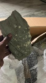 WhatsApp Image 2026-02-01 at 5.38.16 PM (7).jpeg