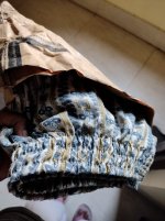 WhatsApp Image 2026-02-03 at 4.09.38 PM.jpeg