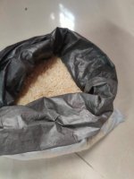 Rice Image 1.jpeg