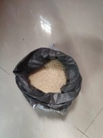 Rice Image 2.jpeg