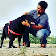Pawan