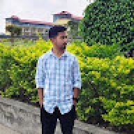 parthapratim01