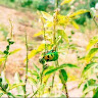 Kiruba0670
