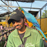 Arvinth_S
