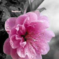 umesh046
