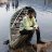 Partha Pratim Das